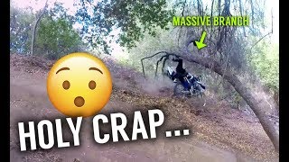 CLOTHESLINED BY A TREE BRANCH HILARIOUS FAIL [upl. by Noland]