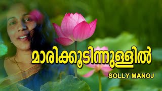 Marikoodinnullil  മാരിക്കൂടിന്നുള്ളിൽ  Unplugged Vertion by Solly Manoj [upl. by Dan854]