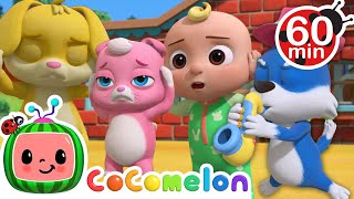 The 3 Little Friends  Animals for Kids  Animal Cartoons  Funny Cartoons  Learn about Animals [upl. by Summer]