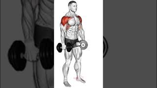 Top 3 shoulders exercises [upl. by Ishii520]