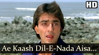 Aye Kaash Dil  Sanjay Dutt  Farah  Imaandar  Hindi Song [upl. by Airdnazxela]