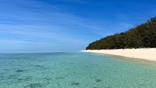 Fishing and exploring Mast Head Island Queensland Australia BIG SHARKS Ep 58 [upl. by Kamal]