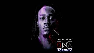 Mical Teja  DNA Official NMG Road Mix [upl. by Neelak]