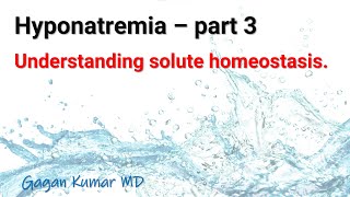 Hyponatremia  Part 3  understanding solute homeostasis [upl. by Prunella]