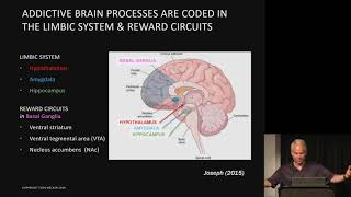 Todd Becker  Retraining the limbic brain to reverse obesity and addictions  AHS19 [upl. by Niple541]