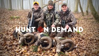 Widderjagd in Deutschland – hunterbrothersofficial Hunt on Demand Trailer [upl. by Sherborne]