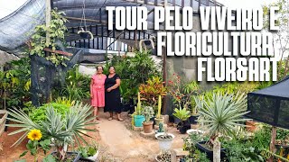 TOUR POR UMA FLORICULTURA QUE TEM DE PLANTAS MORDENAS À PLANTAS DA VOVÓ  PLANTAS ORNAMENTAIS [upl. by Aieken]