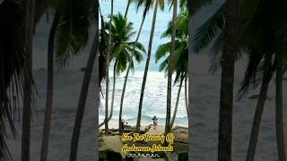 See The Beauty Of Andaman Islands  Vlog Andaman andaman shorts travel tourism travel viral [upl. by Nnair]