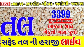 આજના તલ ના બજાર ભાવ  tal na bhav  jasdan market yard na bhav  gondal market yard  apmc gondal [upl. by Kincaid876]