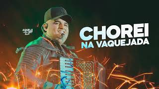 Tarcísio do acordeon CHOREI NA VAQUEIJADA 🐴 [upl. by Divd]