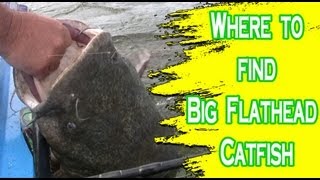 Places to look for flathead catfish on the Ohio River [upl. by Farmer]