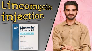 Lincomycin injection  uses side effects MOA contraindications doses  lincocin injection [upl. by Akemor]