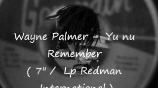 Wayne Palmer  Yu nu Remember stalag riddim [upl. by Ebeneser]