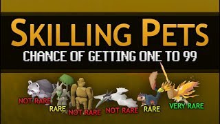 Skilling Pets chance of getting one to lvl 99 [upl. by Aicsila]