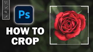 How to Crop in Photoshop  Crop Tool Tips and Tricks [upl. by Orlosky986]