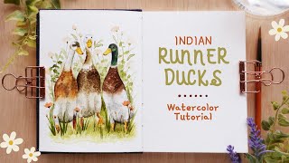 Indian Runner Ducks Drawing to Painting Tutorial with Watercolors [upl. by Charmine567]