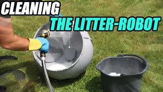 TOP 5 Best Automatic Litter Boxes of 2024 [upl. by Bushweller703]