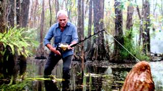 Official River Monsters Channel  CHANNEL TRAILER  River Monsters [upl. by Assert]