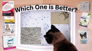 Best Cat Litter For Multiple Cats Extremely Thoroughly Tested [upl. by Galatia273]