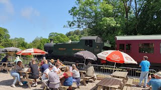 South Devon Railway Spring Rails and Ales [upl. by Maffa]