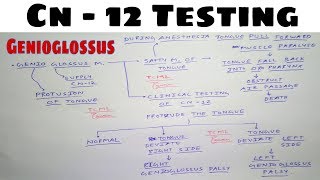 Hypoglossal Nerve Testing  Safety Muscle of Tongue  The Charsi of Medical Literature [upl. by Swehttam]