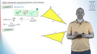 Goniometrie  zijden berekenen met SOS CAS TOA  WiskundeAcademie [upl. by Femmine775]