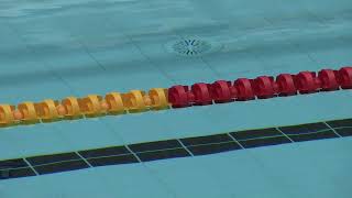 2024 Session 8 Lancashire County Swimming Championships [upl. by Mogerly204]