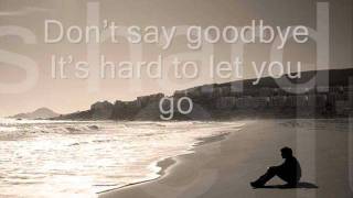 Dont Say Goodbye hard to let you go w lyrics Pops Fernandez [upl. by Krystin866]