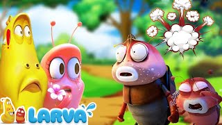 Larvas Animadas Nuevos Episodios 2021 🍬 1 Hora 🧀Larva Episodio Completo 🧇Larva Nuevos Capitulos 2021 [upl. by Wolsniw]