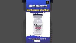 Methotrexate Rheumatoid Arthritis Drug Mechanism of Action methotrexate Drug mechanism [upl. by Enyleuqcaj464]