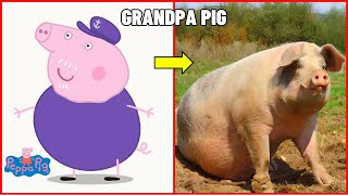 How Peppa Pig Characters Looks In Real Life 2024 🐷 [upl. by Jeffcott]