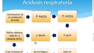 Acidosis y Alcalosis [upl. by Ahcarb700]