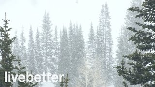 Sonidos Relajantes de Nevada para Dormir  Ruidos de la Naturaleza con Viento Calmante que da Sueño [upl. by Phillipe342]