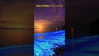 Maladewas BEST Kept Secret Pulau Vaadhoos Sea of Stars [upl. by Ajin]