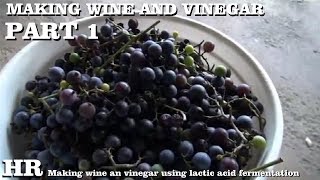 ⟹ HOW TO MAKE GRAPE WINE AND VINEGAR  Using Lactic acid fermentation  Part 1 [upl. by Valera376]