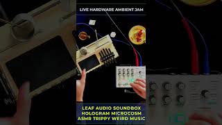 Live ambient hardware jam with Hologram Microcosm and Leaf Audio Soundbox [upl. by Nananne536]