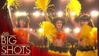 The Nuholani Keiki Hula Dancers BestLittleBigShots [upl. by Etam]