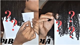 What does Type 4A  4B Natural Hair Look Like [upl. by Suivatnom]