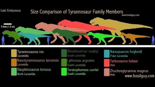 Tyrannosaurid family tree [upl. by Chassin96]