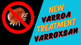 Is VarroxSan the Future of Varroa Control Safe with Supers On [upl. by Eladnyl]