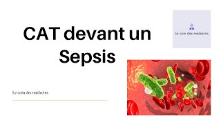 CAT devant un Sepsis [upl. by Paulette]