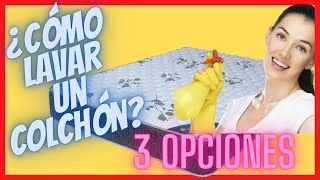 ✨ Cómo Lavar Un Colchón  3 Opciones Fáciles para Limpiar Manchas 👍😷 [upl. by Bert]