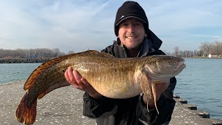 Catching a RARE Fish BURBOT in LAKE ERIE Catch and Cook EELPOUT [upl. by Ala]