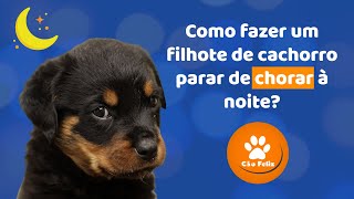 Como fazer um filhote de cachorro PARAR de CHORAR à noite [upl. by Eshelman]