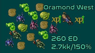 Tibia  Oramond west for solo ED 200 [upl. by Yvonner]