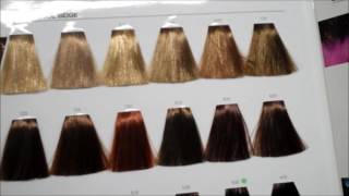 Learn hair tones and neutralising colours with the colour star theory [upl. by Mikihisa]