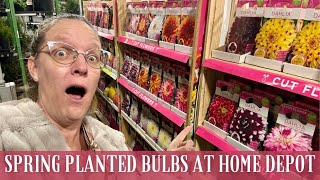 Spring Planted Bulbs at Home Depot 🌷  What They Have What Ive Grown amp What I Bought [upl. by Led165]