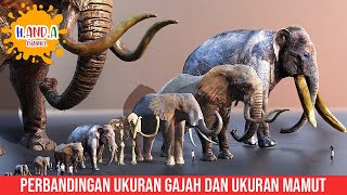 Perbandingan ukuran gajah dan ukuran mamut [upl. by Aissila]