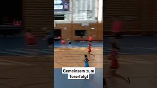 Gemeinsam hvaltentreptow tollensepirates handball gemeinsamsindwirstark [upl. by Nitsirc]