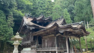 隠された女神紙祖神 岡太神社・大瀧神社参拝Live [upl. by Glavin]